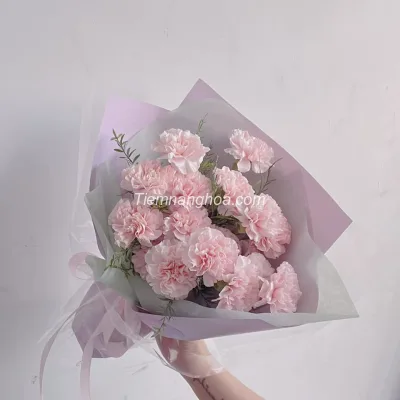 Pink Carnation Bouquet HB88