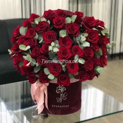 Luxury Red Rose Box HH17