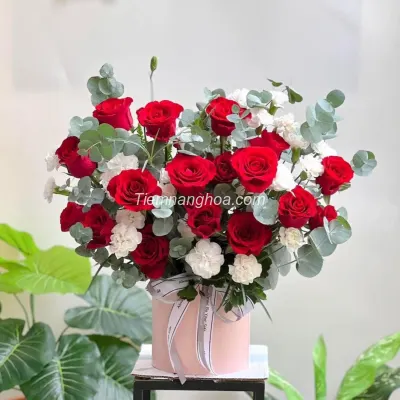 Box of Brilliant Red Roses HH18