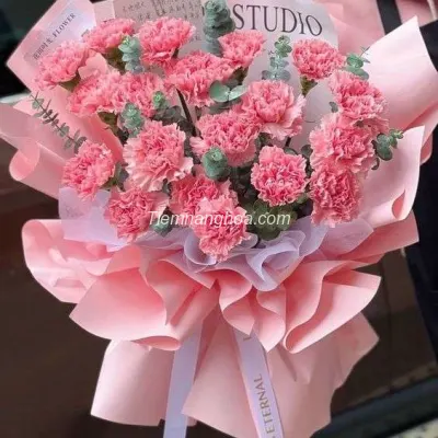 Sweet Single Pink Carnation Bouquet HB147