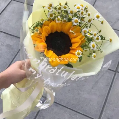 Bó Hoa Hướng Dương Nhỏ Xinh HB151