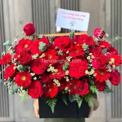 Giỏ Hoa Hồng Đỏ Sang Trọng HG23