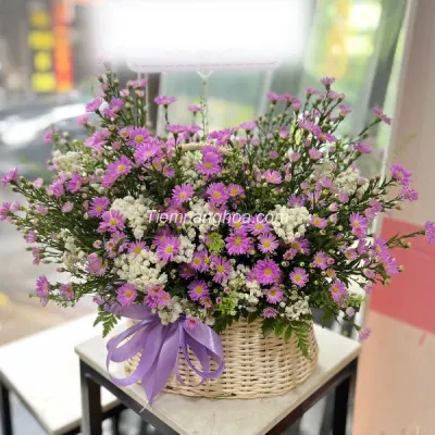 Giỏ Hoa Thạch Thảo Tím HG24
