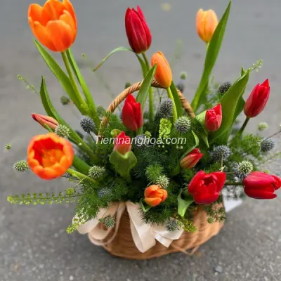 Mystical Tulip Basket HG25