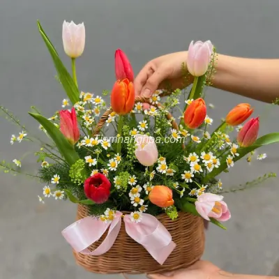 Luxury Tulip Basket HG26