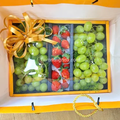 Imported fruit basket GTC04