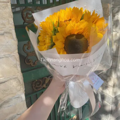 Bó Hoa Hướng Dương HB51
