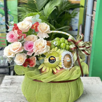Imported fruit basket GTC10