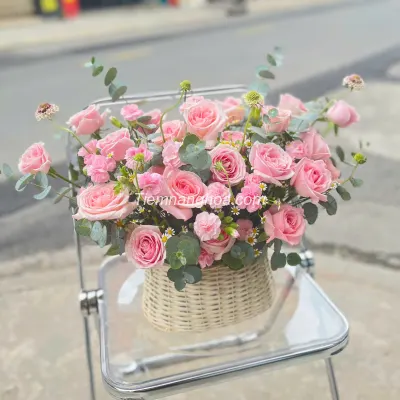Delicate and gentle pink basket flower HG28