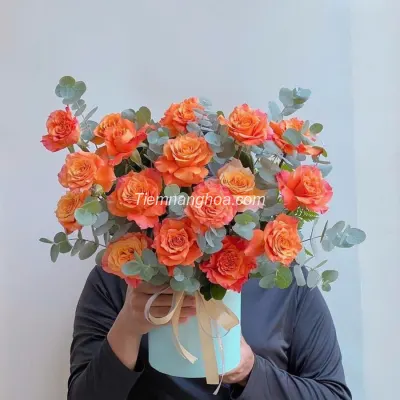 Spirit orange flower box HH21