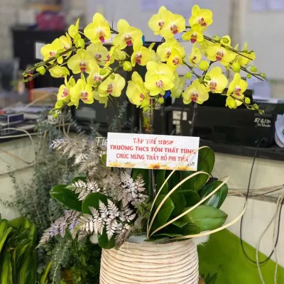Tabletop Size Yellow Phalaenopsis Orchid Pot with 9 Branches