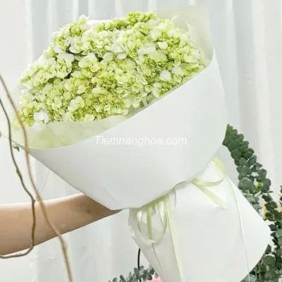 Simple Avocado Green Hydrangea Bouquet HB185