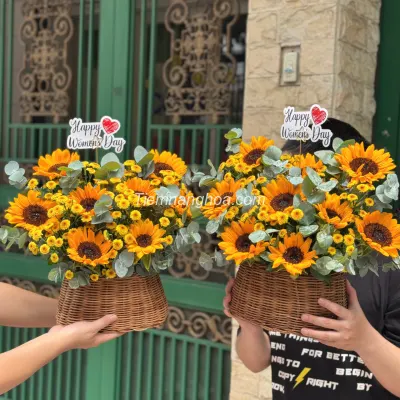 Sunflower basket HG37