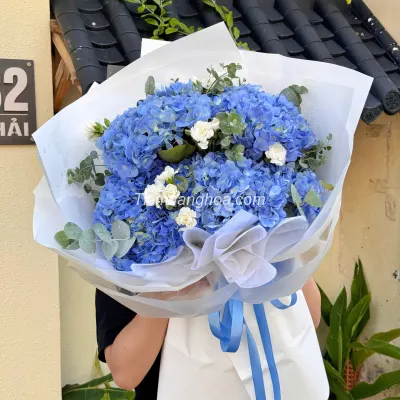 Bó hoa cẩm tú cầu xanh dương Premium HB217