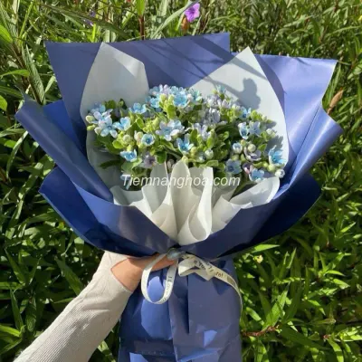 Bó hoa sao xanh nhỏ nhắn HB218