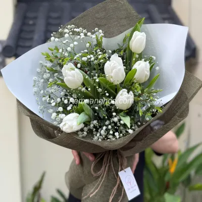 Bó hoa tulip trắng HB222