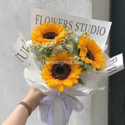 Bó hoa hướng dương HB229