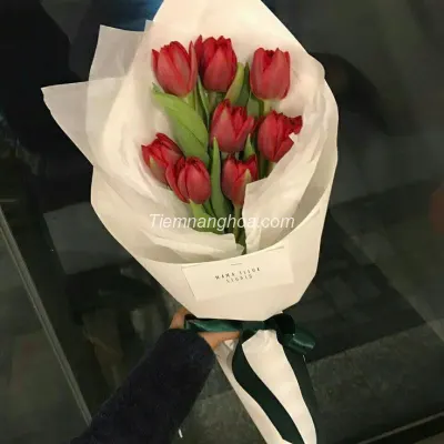 Bó hoa tulip kép đỏ HB231