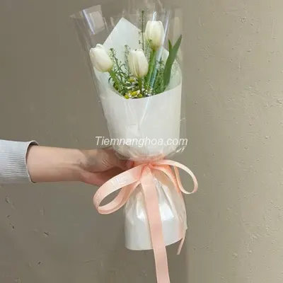 Bó hoa tulip mini HB234