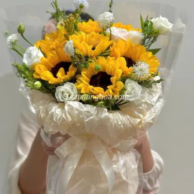 Bó hoa hướng dương hàn quốc HB238