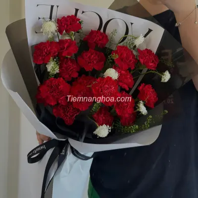Bó hoa cẩm chướng đỏ sang trọng HB241