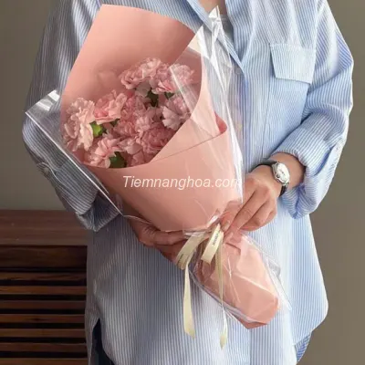 Bó hoa cẩm chướng nhỏ HB244