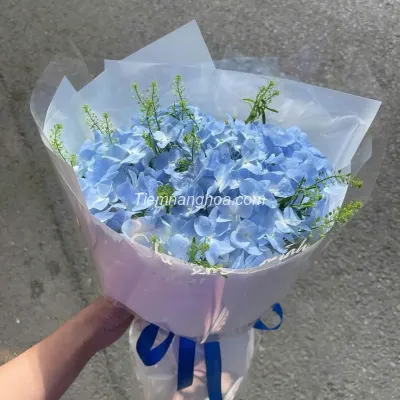 Bó hoa cẩm tú cầu xanh HB248