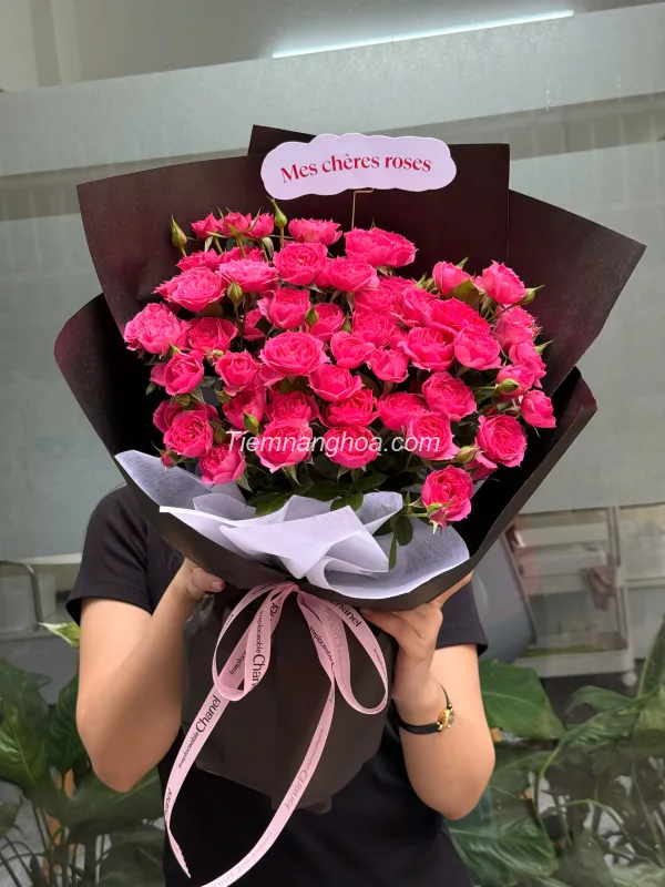 Hoa Hồng Sofia: Vẻ Đẹp Tinh Tế, Sang Trọng & Quyến Rũ