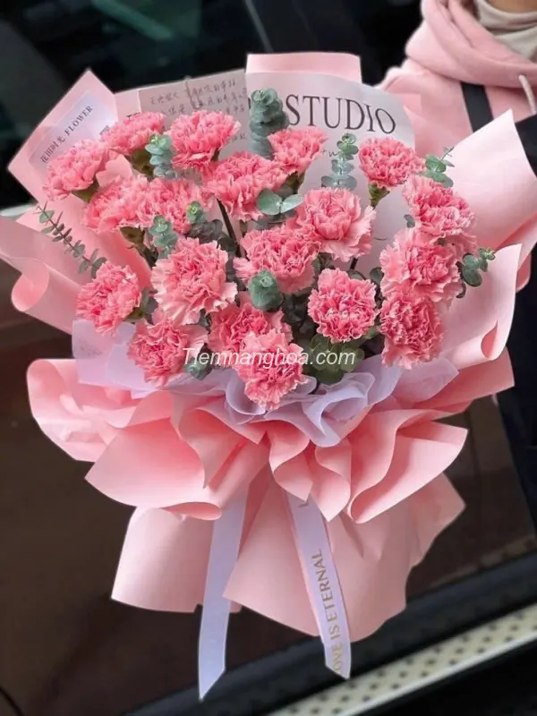 Bó hoa cẩm chướng đơn hồng công chúa HB314
