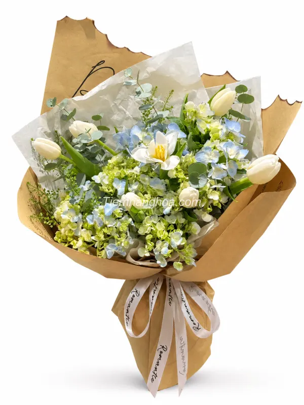 Bó hoa cẩm tú cầu mix Tulip trắng Hà Lan HB320