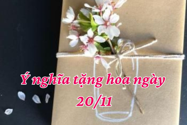 Tặng Hoa Ngày 20/11 Có Ý Nghĩa Gì?