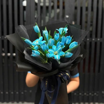 Bó hoa Tulip Hà Lan tone xanh dương HB268