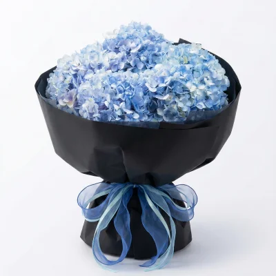 Blue hydrangea bouquet HB279