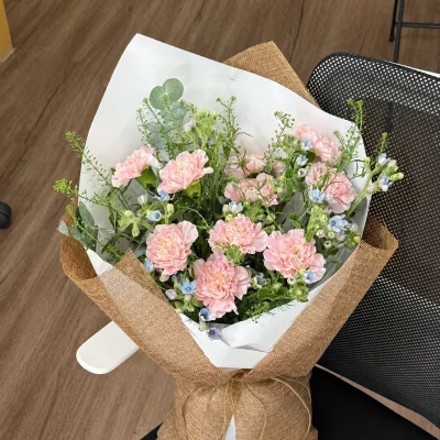 Carnation bouquet x Blue Star HB294