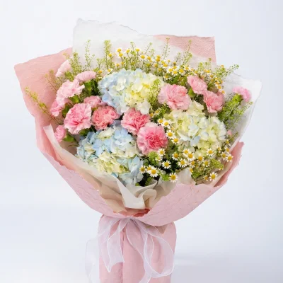 Hydrangea and Carnation Bouquet HB271