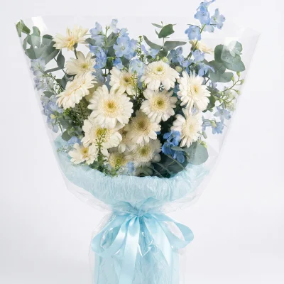 Bó hoa tiểu delphin xanh trắng HB247