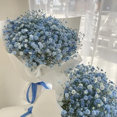 Baby Blue Flower Bouquet TNH6