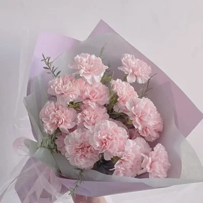 Bó Hoa Cẩm Chướng Hồng HB88