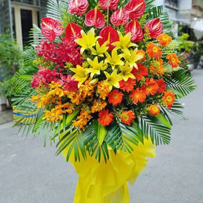 Kệ hoa khai trương KT19