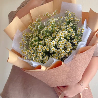 Tana Chrysanthemum bouquet HB27
