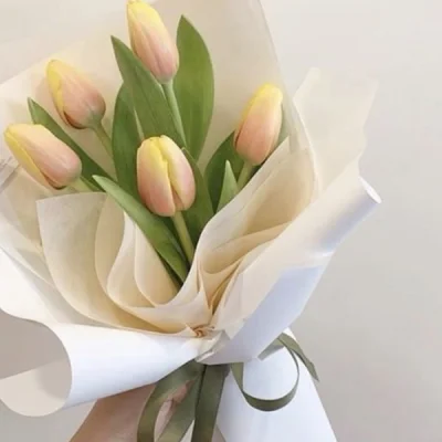 Bó hoa Tulip cam nhạt nhập khẩu HB110