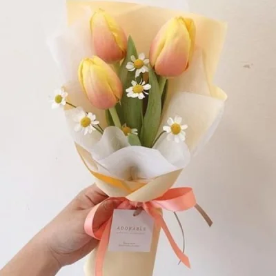 Bó hoa Tulip cam số 2