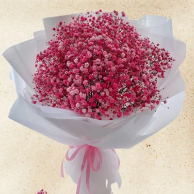 Valentines red Baby flower bouquet HB134