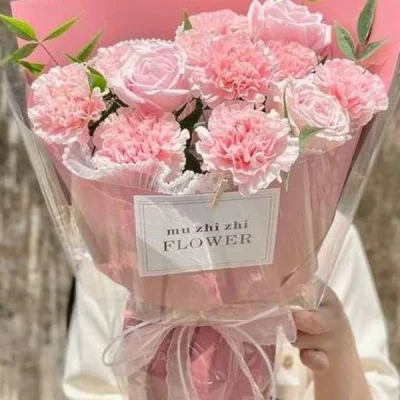 Bó Hoa Cẩm Chướng Đơn Mix Hồng Kem HB146