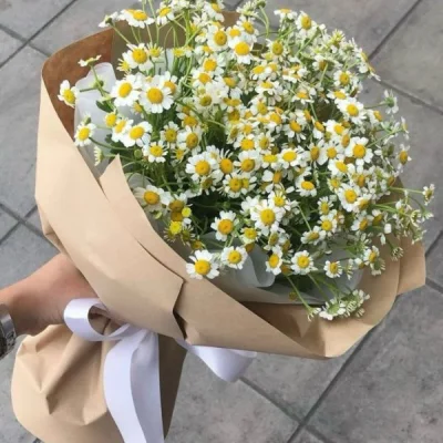 Tana Babe Chrysanthemum Bouquet HB153