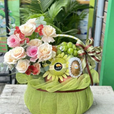 Imported fruit basket GTC10