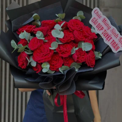 Bó hoa hồng đỏ huyền bí HB167