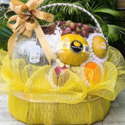 Imported fruit basket GTC15