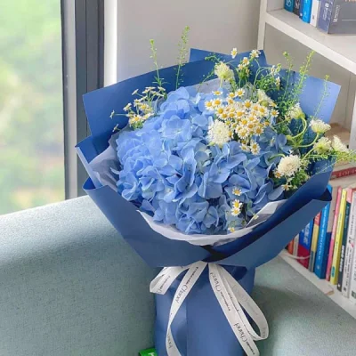 Bó Hoa Cẩm Tú Cầu Xinh Yêu HB187