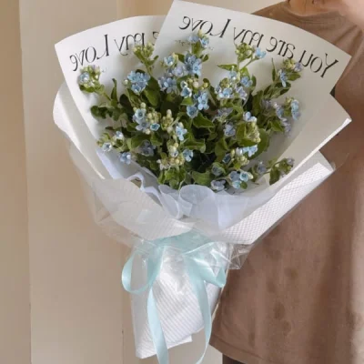 Delicate blue star bouquet HB221